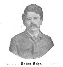 Behr Anton Stimmen der Freiheit 1901